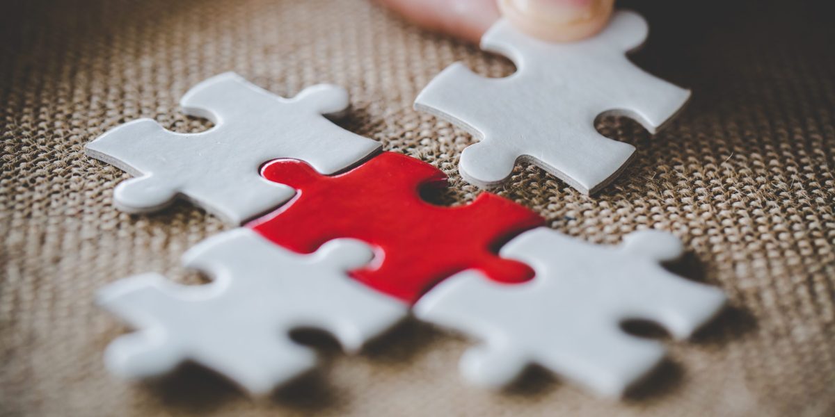 Multidiscipline investing active Montaka Global