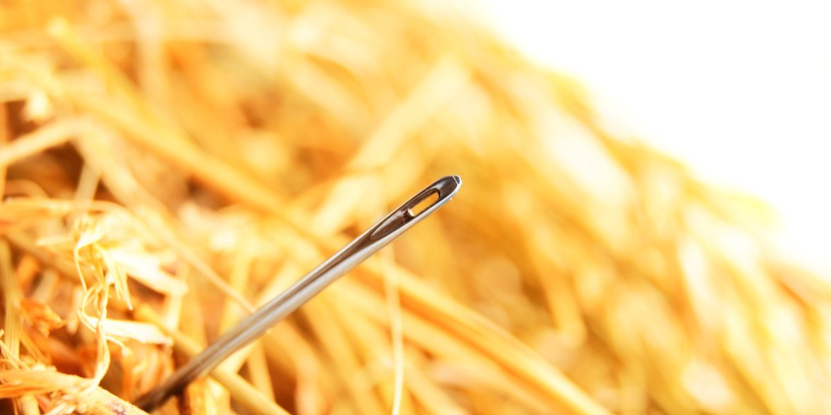 Needle in a haystack .